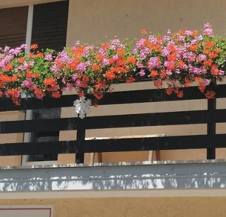 Fiocco Di Neve Hotel Tarvisio Eksteriør billede